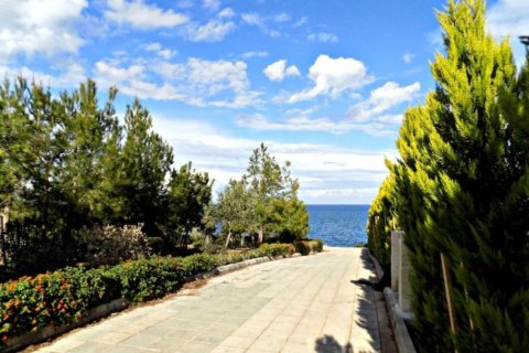 Studio Villa in Paphos, Cyprus No. 105103 14