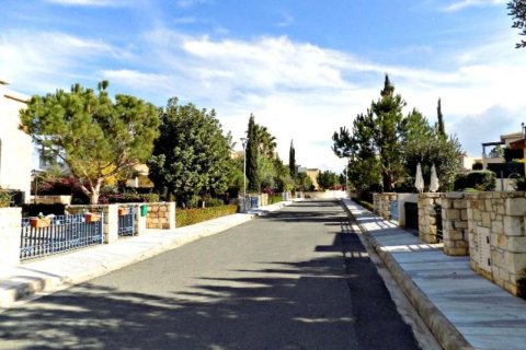 Studio Villa in Paphos, Cyprus No. 105103 13