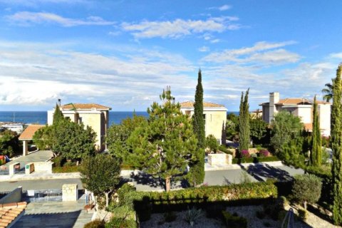 Studio Villa in Paphos, Cyprus No. 105103 11