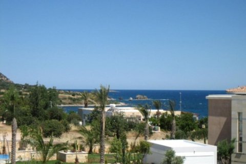 Studio Villa in Paphos, Cyprus No. 105103 6