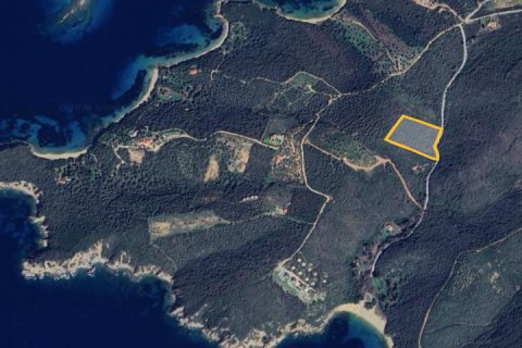 11446m² Land en Chalkidiki, Greece No. 108652 6