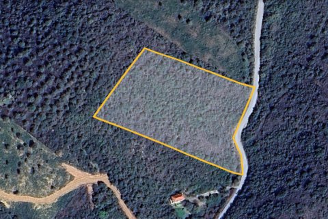 11446m² Land en Chalkidiki, Greece No. 108652 4