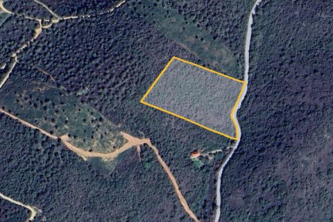 11446m² Land en Chalkidiki, Greece No. 108652 5