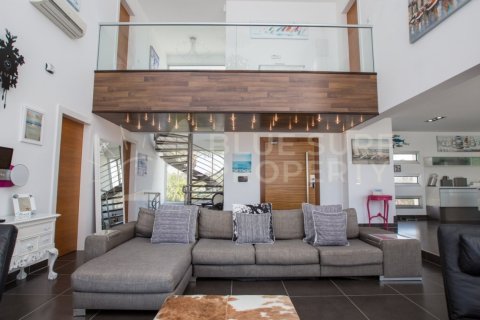 5 bedrooms Villa in Ayia Napa, Cyprus No. 36566 5