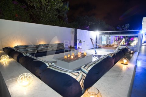 5 bedrooms Villa in Ayia Napa, Cyprus No. 36566 24