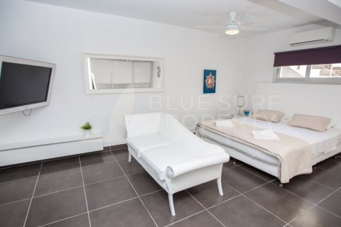 5 bedrooms Villa in Ayia Napa, Cyprus No. 36566 11