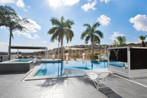 5 bedrooms Villa in Ayia Napa, Cyprus No. 36566 29