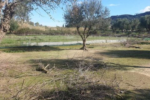 Land in Zakynthos, Greece No. 24493 5