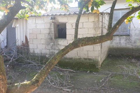 Land in Zakynthos, Greece No. 24493 13