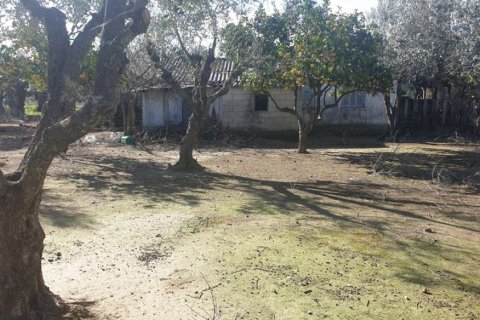 Land in Zakynthos, Greece No. 24493 10