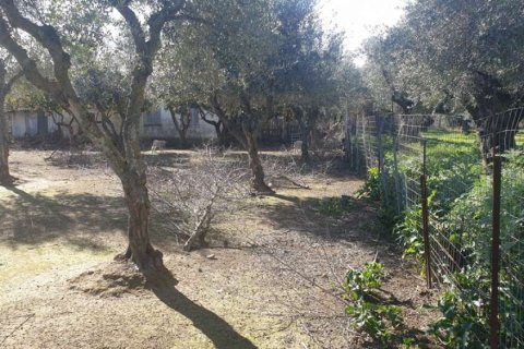 Land in Zakynthos, Greece No. 24493 12