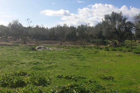 Land in Zakynthos, Greece No. 24493 15