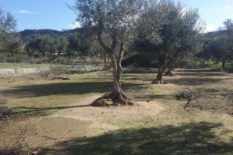 Land in Zakynthos, Greece No. 24493 9