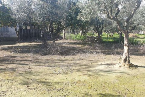 Land in Zakynthos, Greece No. 24493 4