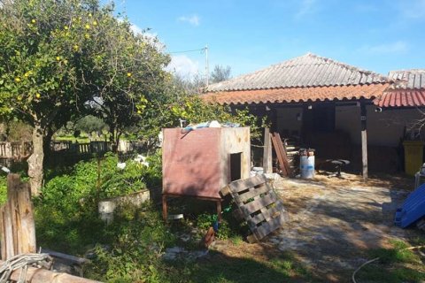 Land in Zakynthos, Greece No. 24493 14