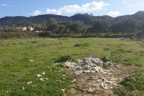 Land in Zakynthos, Greece No. 24493 3