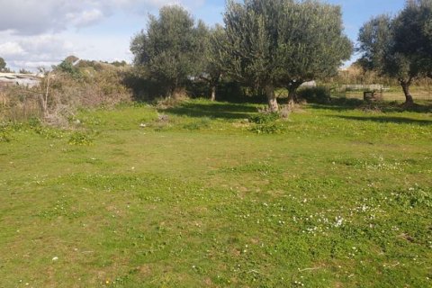 Land in Zakynthos, Greece No. 24493 6