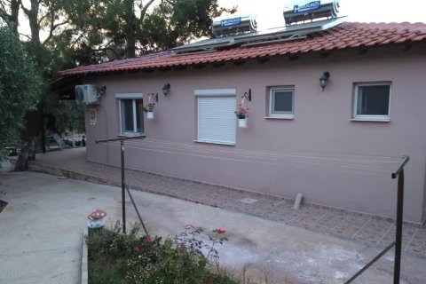 6 rooms Hotel in Thasos, Greece No. 109209 11