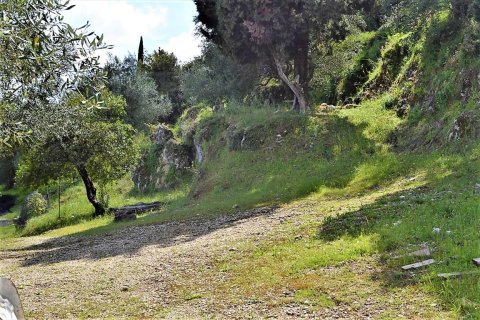 7000m² Land à Corfu, Greece No. 57434 10