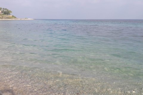 2 chambres Appartement à Ben Luc, Vietnam No. 92232 19