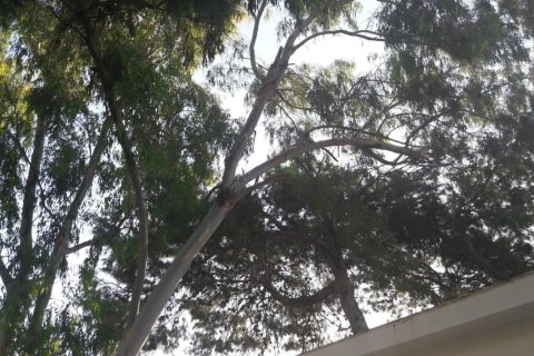 2 chambres Appartement à Ben Luc, Vietnam No. 92232 18