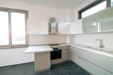 4 chambres Villa à Paphos, Cyprus No. 83454 12