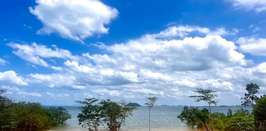 14185m² Land in Krabi, Thailand No. 97253