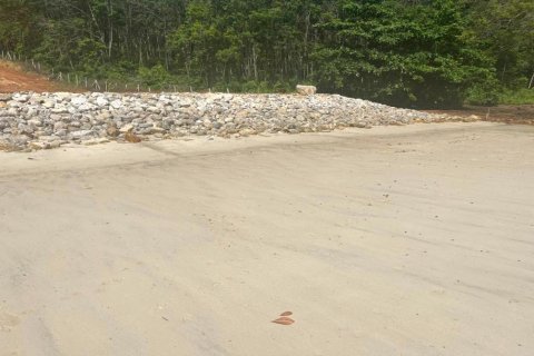 14185m² Land in Krabi, Thailand No. 97253 6