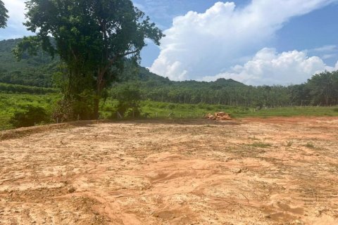 14185m² Land in Krabi, Thailand No. 97253 5