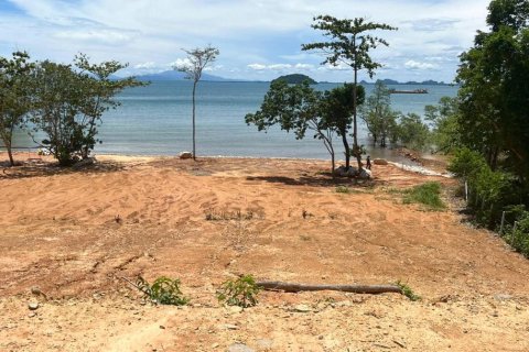 14185m² Land in Krabi, Thailand No. 97253 9