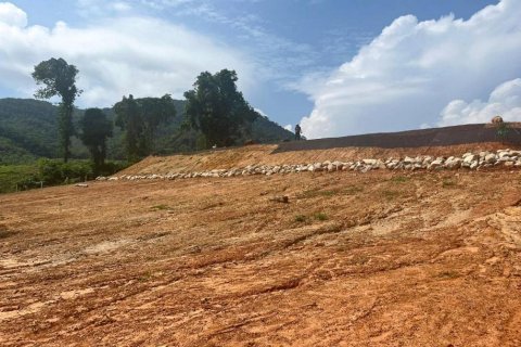 14185m² Land in Krabi, Thailand No. 97253 11