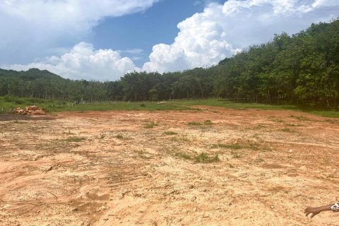 14185m² Land in Krabi, Thailand No. 97253 10