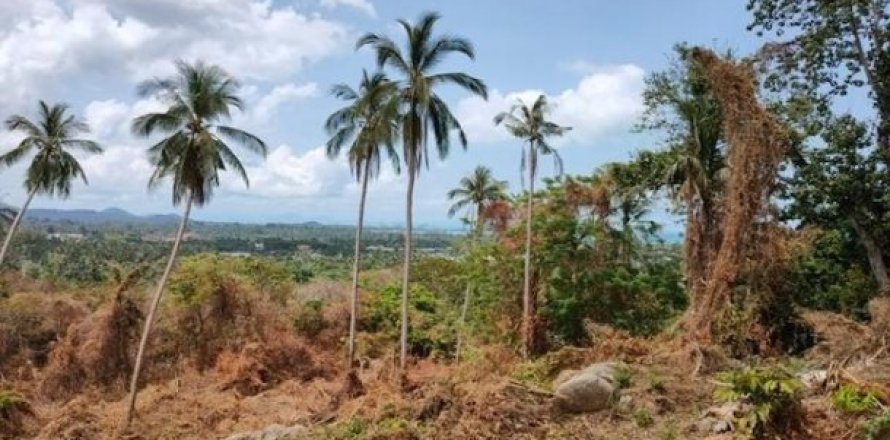 Земельный участок 9600м² на Самуй, Таиланд №96107