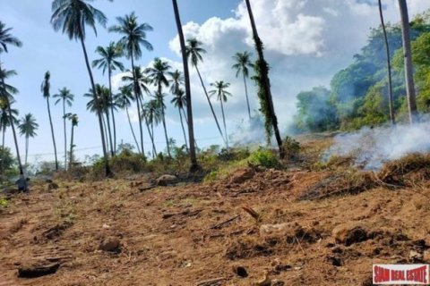 Земельный участок 9600м² в Самуй, Таиланд №96107 7