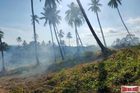 Земельный участок 9600м² в Самуй, Таиланд №96107 4