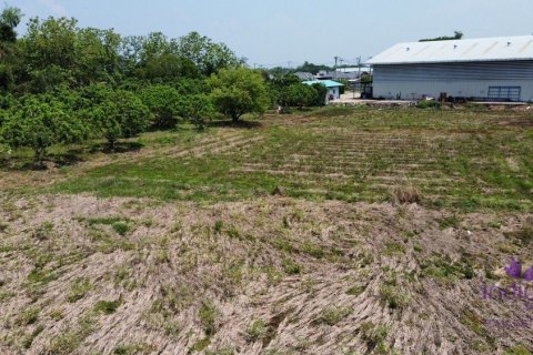 Commercial property en Chiang Mai, Thailand No. 97537 14