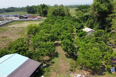 Commercial property en Chiang Mai, Thailand No. 97537 3