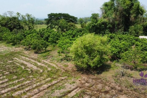 Commercial property en Chiang Mai, Thailand No. 97537 12