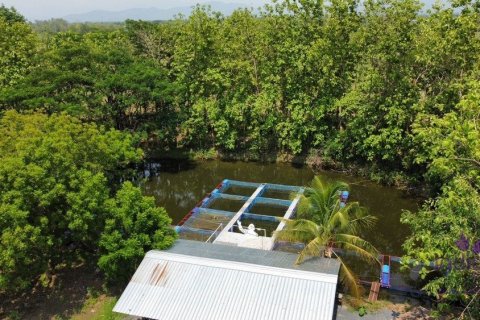 Commercial property en Chiang Mai, Thailand No. 97537 2