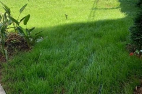 4 bedrooms Villa in Lien Chieu, Vietnam No. 15335 26