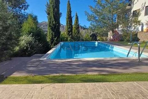 4 bedrooms Villa in Pera Pedi, Cyprus No. 66570 8