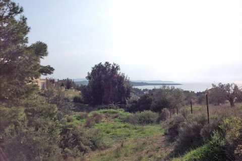 12000m² Land à Kranidi, Greece No. 60219 1