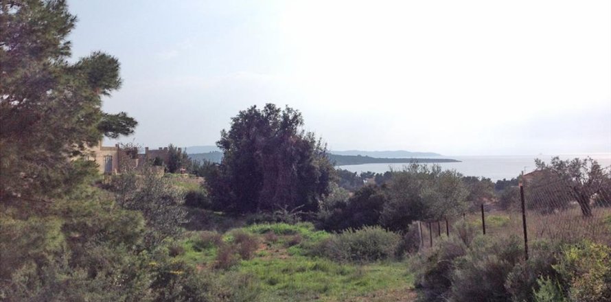 12000m² Land à Kranidi, Greece No. 60219