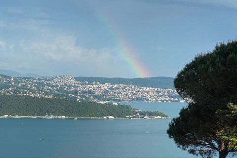 Вилла с 5 спальнями в Стамбул, Турция №14995