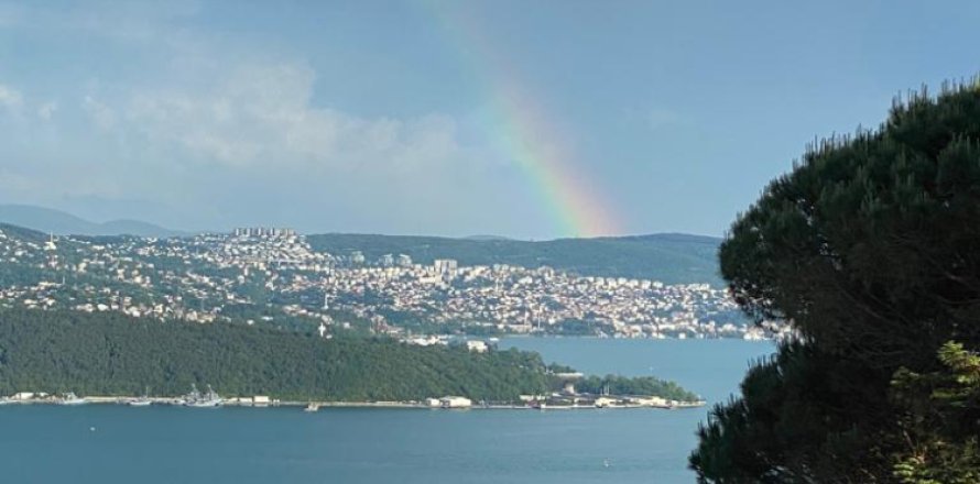 5 bedrooms Villa in Istanbul, Turkey No. 14995