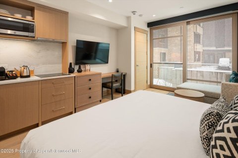 3 bedrooms Condo  in Snowmass Village, USA No. 104587 19