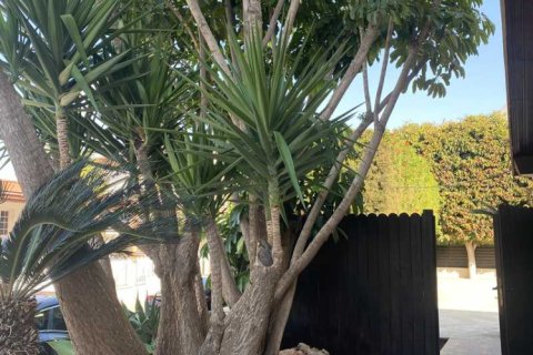 8 chambres House à Limassol, Cyprus No. 75639 6