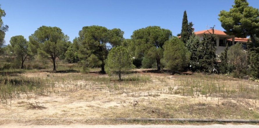 Земельный участок 2835м² в Халкидики, Греция №123496