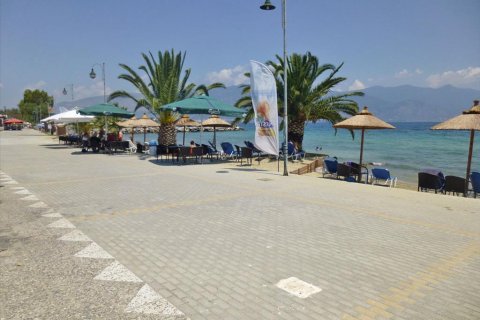 1243m² Land in Volos, Greece No. 60149 1