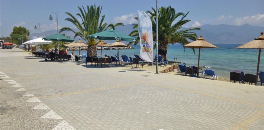 1243m² Land in Volos, Greece No. 60149